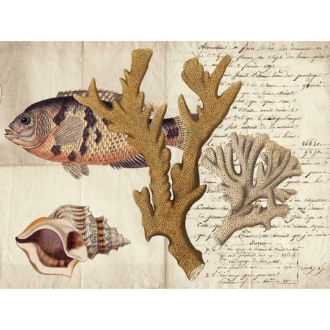 Sealife Journal I White Modern Wood Framed Art Print by Vision Studio