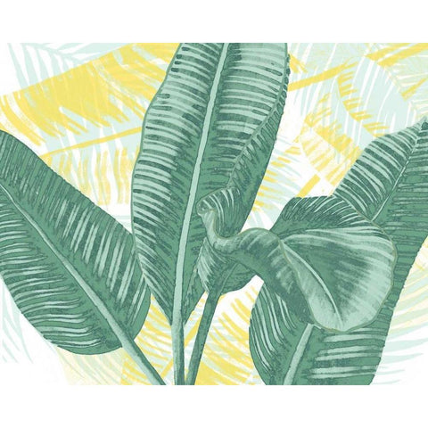 Illustrated Palms II Black Modern Wood Framed Art Print with Double Matting by Popp, Grace