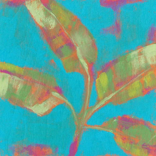 Image Only