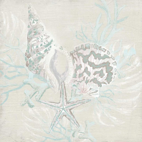 Weathered Shell Sketch II White Modern Wood Framed Art Print by Vess, June Erica