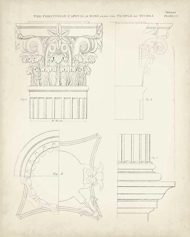 Greek and Roman Architecture I White Modern Wood Framed Art Print with Double Matting by Kelly, Thomas