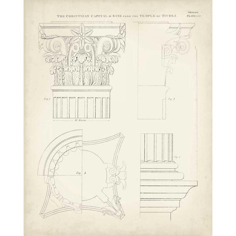 Greek and Roman Architecture I Black Modern Wood Framed Art Print with Double Matting by Kelly, Thomas