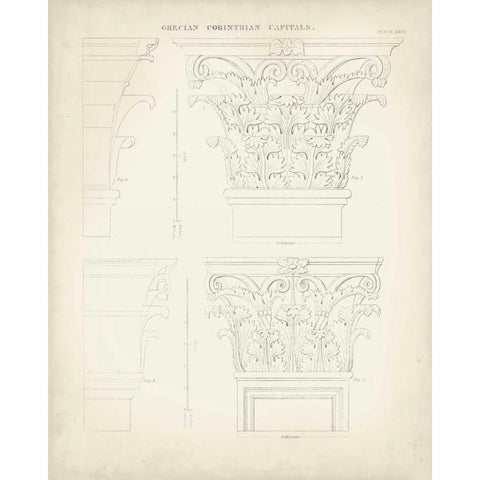 Greek and Roman Architecture III Gold Ornate Wood Framed Art Print with Double Matting by Kelly, Thomas