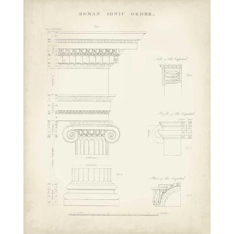 Greek and Roman Architecture V Gold Ornate Wood Framed Art Print with Double Matting by Kelly, Thomas