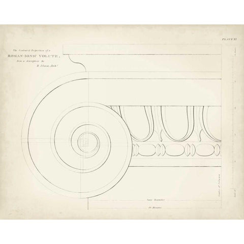 Greek and Roman Architecture VII Black Modern Wood Framed Art Print with Double Matting by Kelly, Thomas