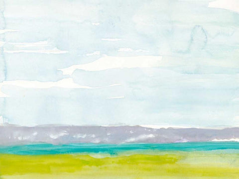 Bluff Beach Black Ornate Wood Framed Art Print with Double Matting by Delamater, Rob