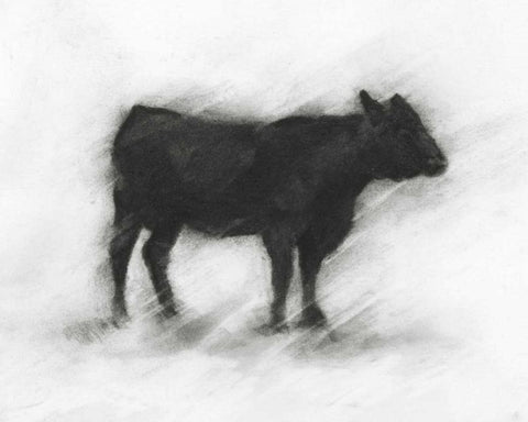 Charcoal Bovine Study II Black Ornate Wood Framed Art Print with Double Matting by Harper, Ethan