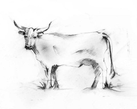 Charcoal Bovine Study III Black Ornate Wood Framed Art Print with Double Matting by Harper, Ethan