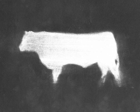 Charcoal Bovine Study IV White Modern Wood Framed Art Print with Double Matting by Harper, Ethan