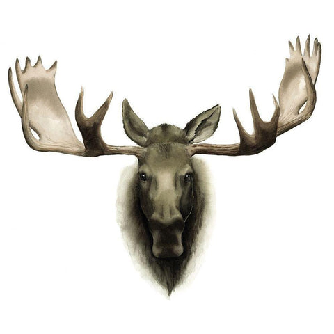 Custom Single Moose  White Modern Wood Framed Art Print by Popp, Grace