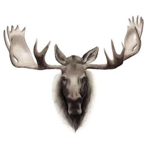 Custom Single Moose  White Modern Wood Framed Art Print by Popp, Grace