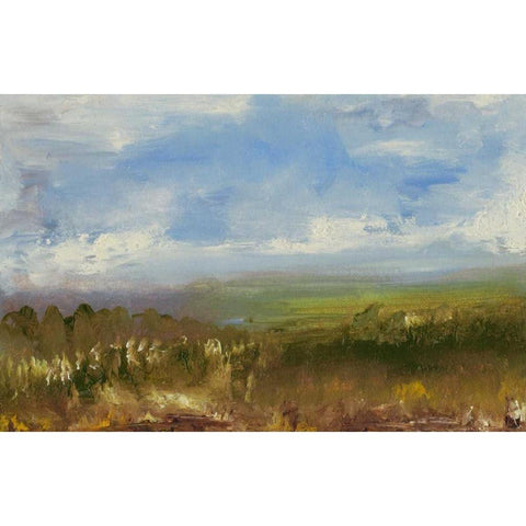 Pratts Falls Road II Black Modern Wood Framed Art Print with Double Matting by Gordon, Sharon