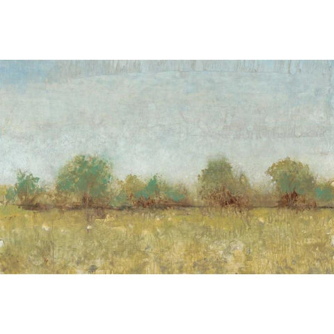 Spring Field I Gold Ornate Wood Framed Art Print with Double Matting by OToole, Tim