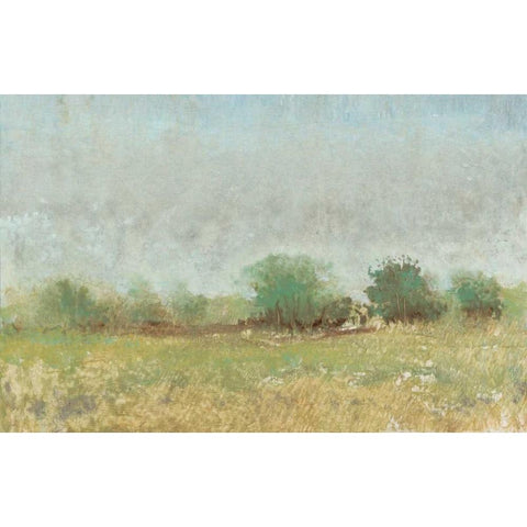 Spring Field II White Modern Wood Framed Art Print by OToole, Tim