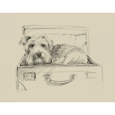 Stowaway I Black Modern Wood Framed Art Print with Double Matting by Harper, Ethan