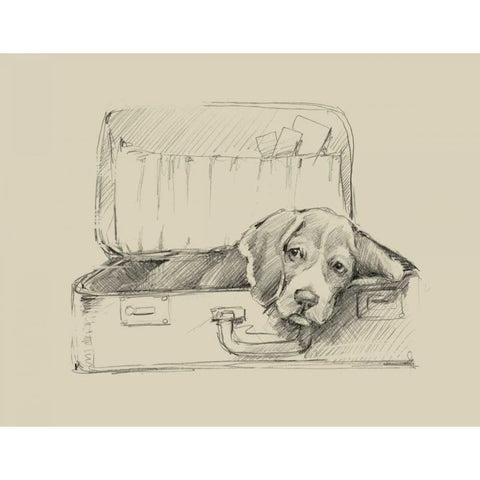 Stowaway II White Modern Wood Framed Art Print by Harper, Ethan