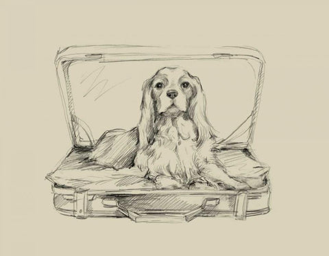 Stowaway IV Black Ornate Wood Framed Art Print with Double Matting by Harper, Ethan