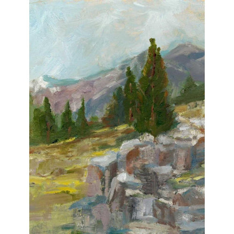 Rocky Hillside II Black Modern Wood Framed Art Print with Double Matting by Harper, Ethan