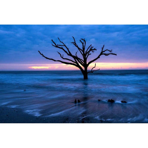 All that Remains Black Modern Wood Framed Art Print with Double Matting by Head, Danny