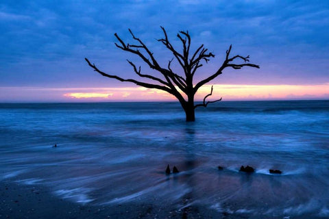 All that Remains White Modern Wood Framed Art Print with Double Matting by Head, Danny