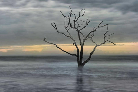 Gray Skies White Modern Wood Framed Art Print with Double Matting by Head, Danny