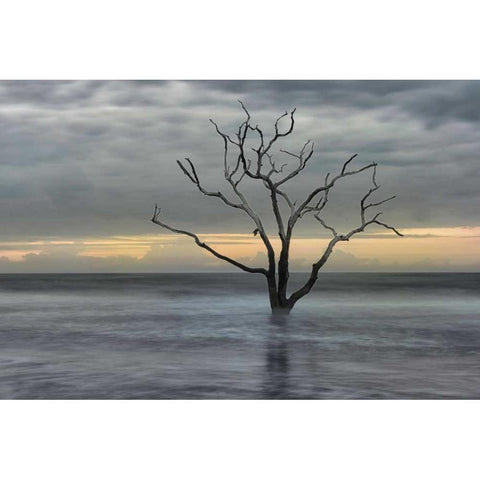 Gray Skies Gold Ornate Wood Framed Art Print with Double Matting by Head, Danny