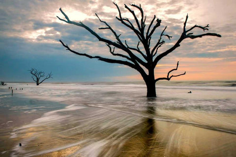 Hangin On Black Ornate Wood Framed Art Print with Double Matting by Head, Danny