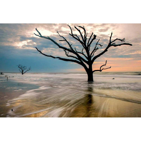 Hangin On Black Modern Wood Framed Art Print by Head, Danny