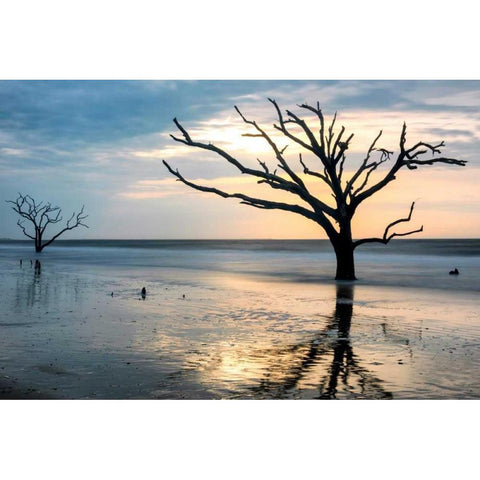 Reflections of Boneyard Beach Gold Ornate Wood Framed Art Print with Double Matting by Head, Danny