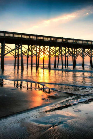 Wake Up Call Black Ornate Wood Framed Art Print with Double Matting by Head, Danny