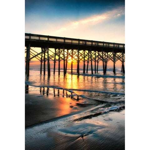 Wake Up Call Black Modern Wood Framed Art Print by Head, Danny