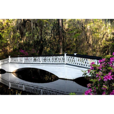 White Bridge Reflections Black Modern Wood Framed Art Print with Double Matting by Head, Danny