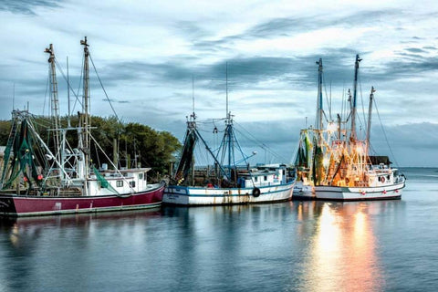 The Shrimping Fleet  Black Ornate Wood Framed Art Print with Double Matting by Head, Danny