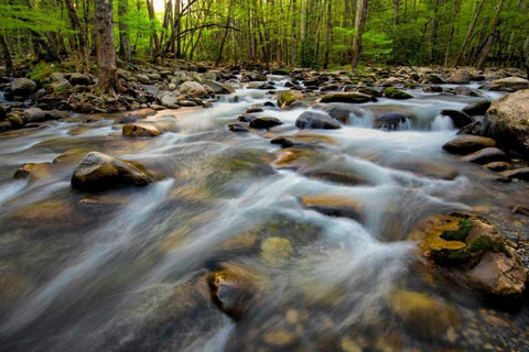 Golden Flow White Modern Wood Framed Art Print with Double Matting by Head, Danny