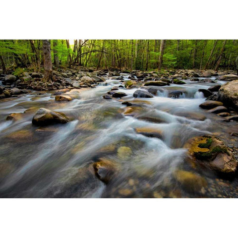 Golden Flow Gold Ornate Wood Framed Art Print with Double Matting by Head, Danny