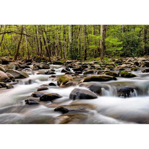 Rocky Flow Black Modern Wood Framed Art Print with Double Matting by Head, Danny