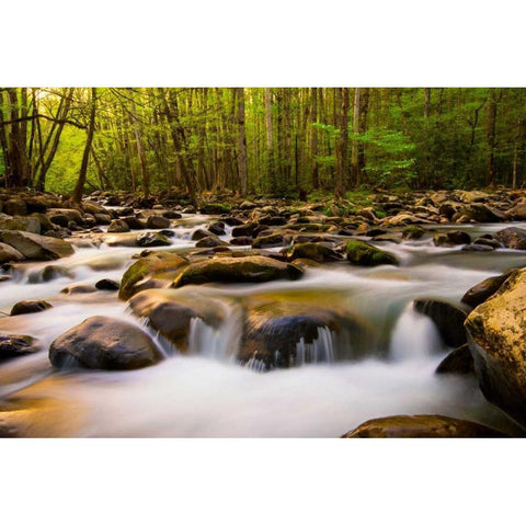 Warm Morning Light Black Modern Wood Framed Art Print with Double Matting by Head, Danny