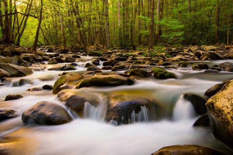 Warm Morning Light White Modern Wood Framed Art Print with Double Matting by Head, Danny