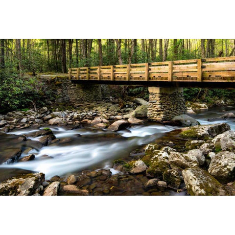 Bridge and Cascade I Black Modern Wood Framed Art Print with Double Matting by Head, Danny