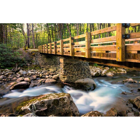 Bridge and Cascade II Black Modern Wood Framed Art Print by Head, Danny