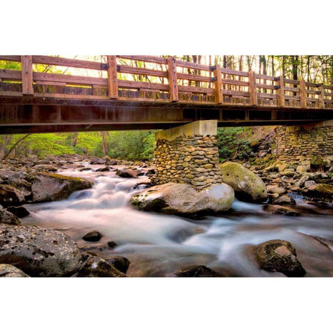 Bridge and Cascade III Black Modern Wood Framed Art Print with Double Matting by Head, Danny