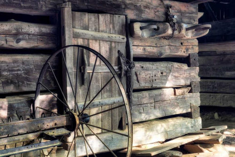 The Yolk White Modern Wood Framed Art Print with Double Matting by Head, Danny