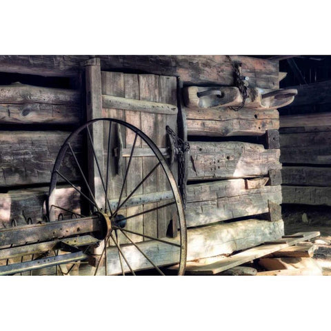 The Yolk Black Modern Wood Framed Art Print by Head, Danny