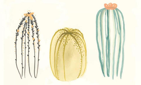 Funky Succulents III Black Ornate Wood Framed Art Print with Double Matting by Vess, June Erica