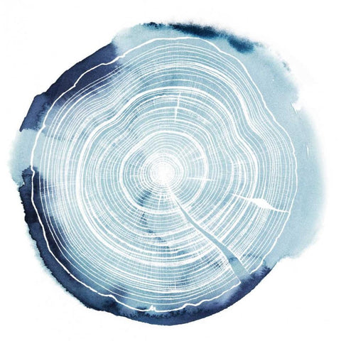 Tree Ring Overlay III White Modern Wood Framed Art Print with Double Matting by Popp, Grace