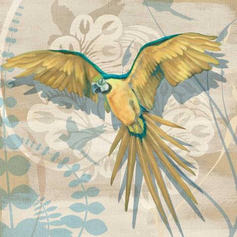 Parrot Society II Black Ornate Wood Framed Art Print with Double Matting by Montillio, Louise