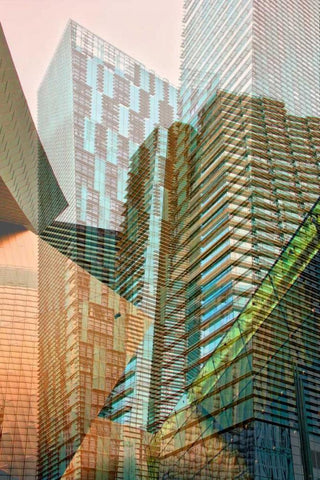 Double Take VIII Black Ornate Wood Framed Art Print with Double Matting by Perkins, Greg