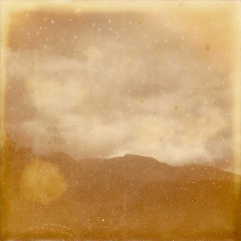 Halia Aloha V Gold Ornate Wood Framed Art Print with Double Matting by Johnson, Jason