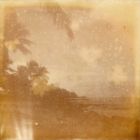 Halia Aloha VI White Modern Wood Framed Art Print with Double Matting by Johnson, Jason