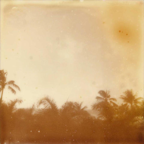 Halia Aloha VII White Modern Wood Framed Art Print by Johnson, Jason